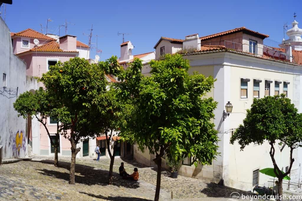 Orange Trees in Lisbon