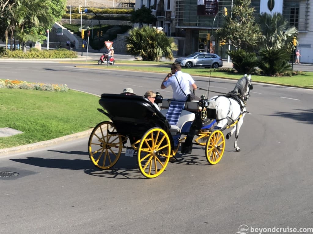 Malaga horse and cart
