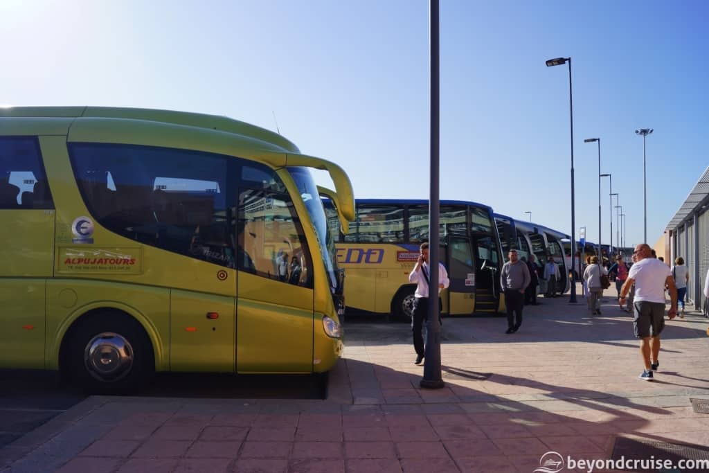 Malaga Cruise Port - Excursion coaches ready