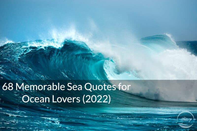 68 Memorable Sea Quotes For Ocean Lovers (2022)
